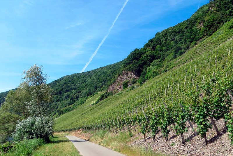 Rutas del Vino de España: el viaje perfecto que has soñado en estas semanas