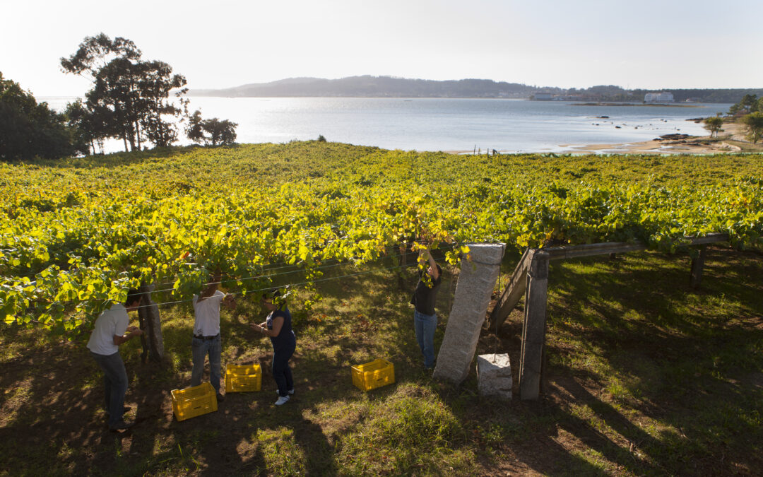 4 Rutas del Vino de España al lado del mar