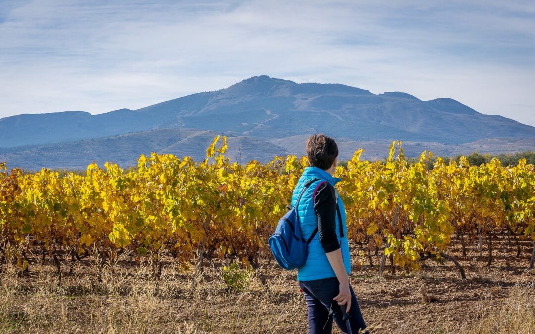 4 Rutas del Vino de España para hacer senderismo