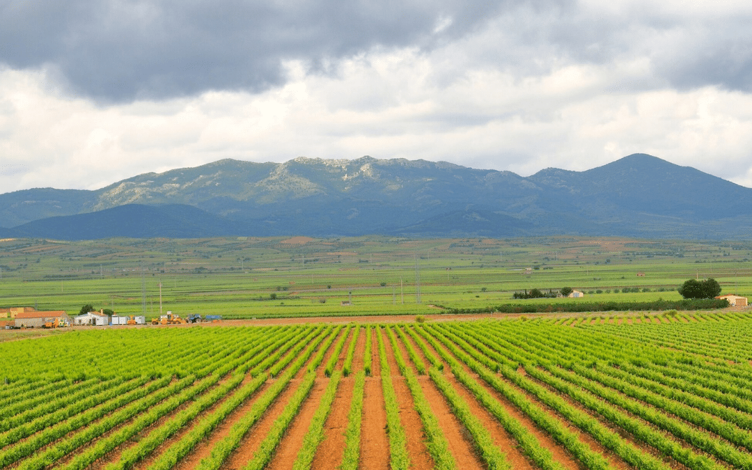 4 Rutas del Vino de España al lado de la montaña