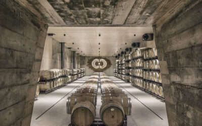 Seis pistas para disfrutar al máximo de Requena, Ciudad Española del Vino 2026