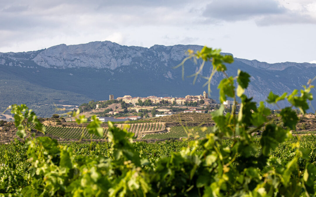 Pueblos Medievales en las Rutas del Vino de España (I)