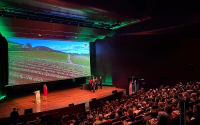 ACEVIN convoca los VIII Premios de Enoturismo ‘Rutas del Vino de España’