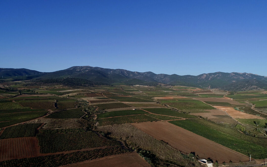 Cinco rincones que no te puedes perder en Cariñena, Ciudad Europea del Vino 2025