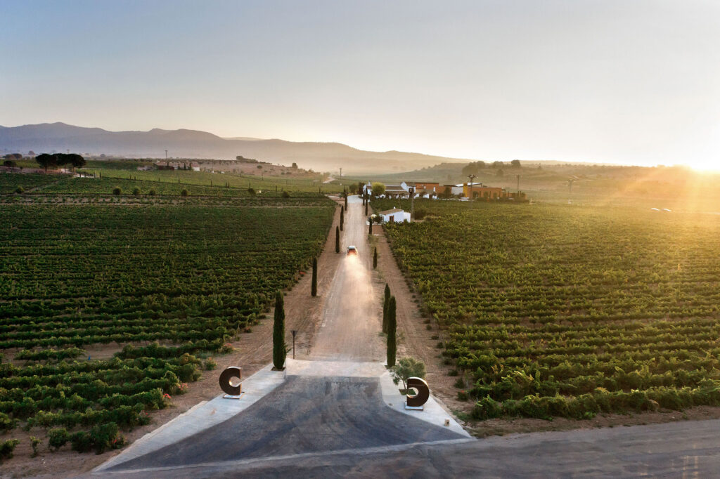 Bodega Chozas Carrascal, en Requena, de la Ruta del Vino Utiel-Requena