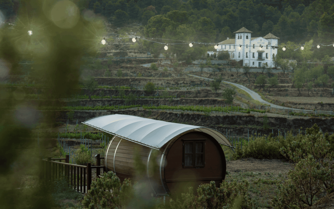 Hoteles singulares en las Rutas del Vino de España