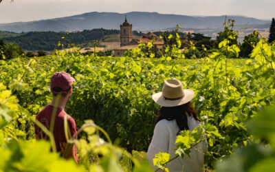 Nuevo Informe del Observatorio Turístico de las Rutas del Vino de España