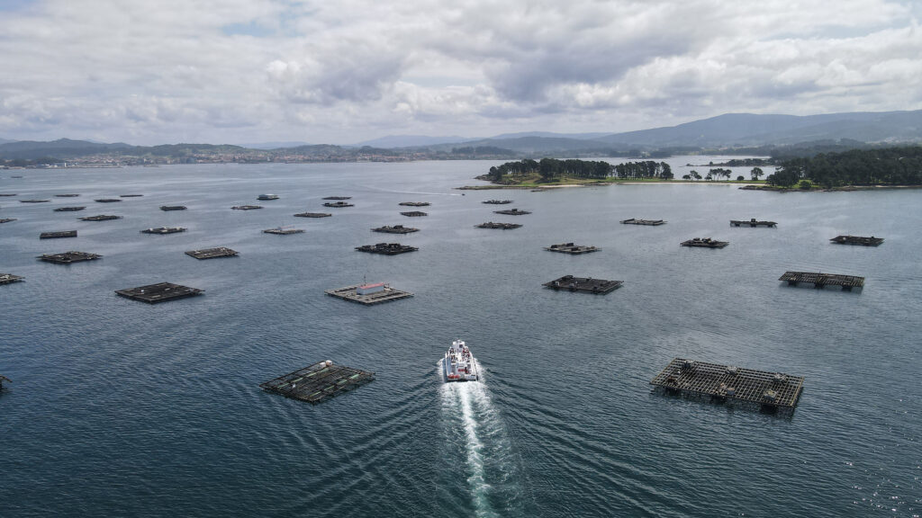 Paseo en barco en Ruta del Vino Rías Baixas