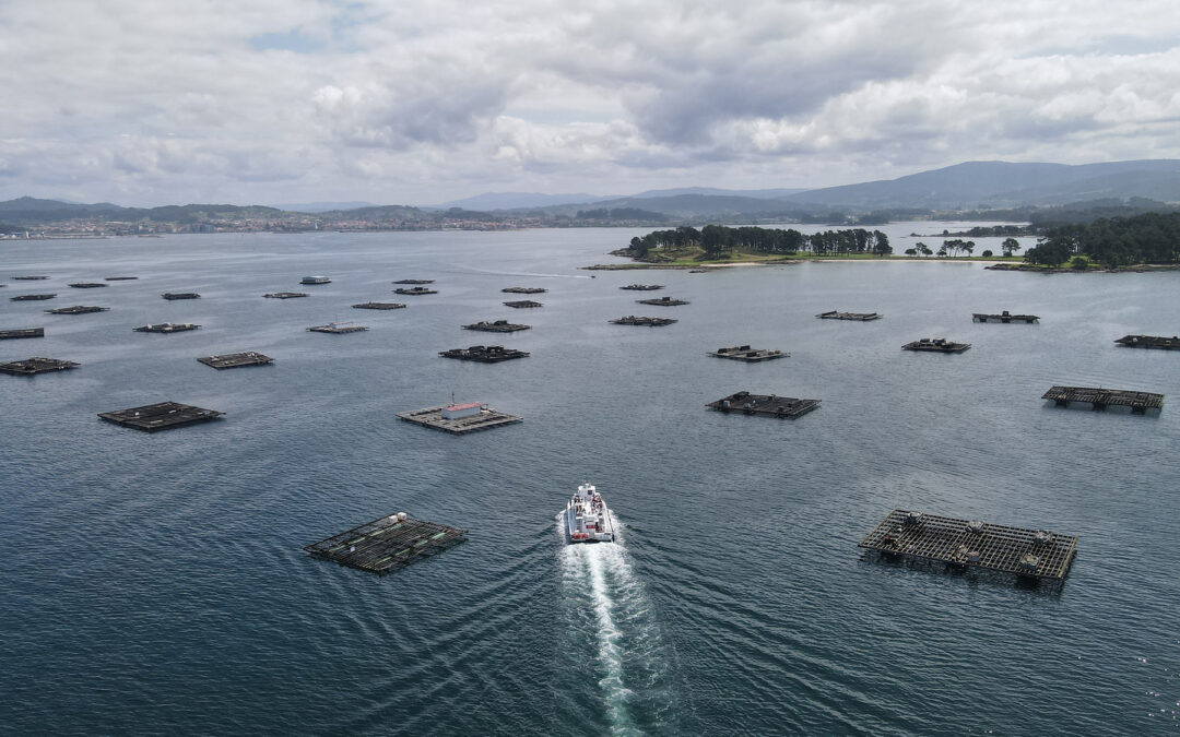 Las Rutas del Vino de España también se recorren en barco